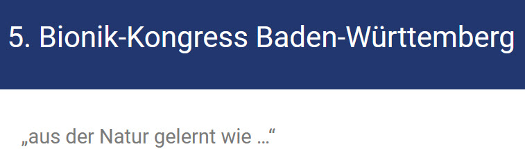 projectheader